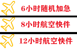 攀枝花保安营航空物流快递公司,专业空运当天件